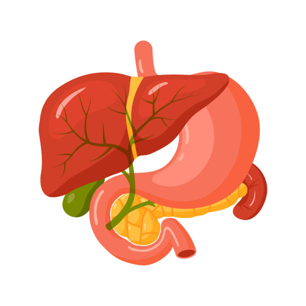 Biliary Interventions